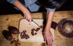 Barista Kurs Zwiesel