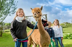 Bauernhof Besuch Bad Großpertholz