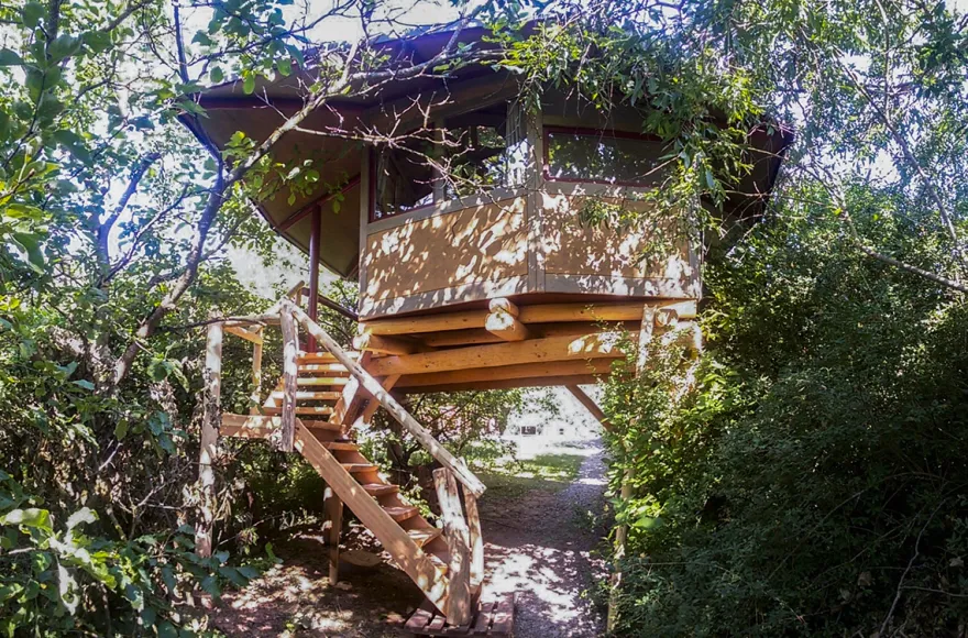 Baumhaus Übernachtung Sulzfeld für 2