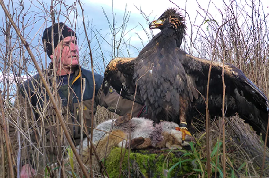 Beizjagd Wunsiedel