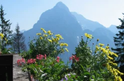 Berghütten-Übernachtung in der Steiermark für 2