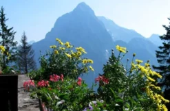 Berghütten-Kurzurlaub in der Steiermark für 2