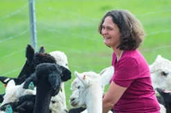 Übernachtung auf der Alpakafarm Affinghausen für 2 (1 Nacht)