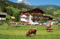 Übernachtung im Garten Himmelbett Dorfgastein für 2 (1 Nacht)