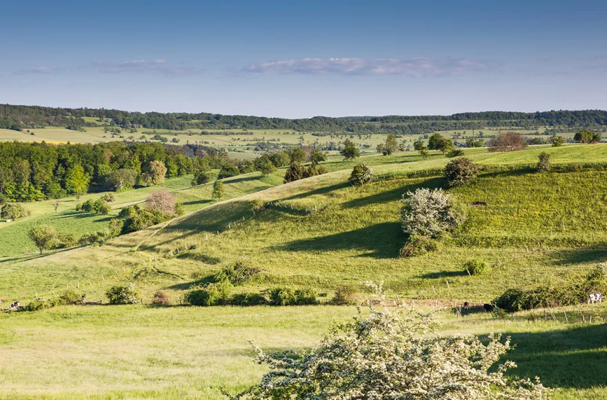 Übernachtung im Naturhotelzimmer Kleinblittersdorf für 2