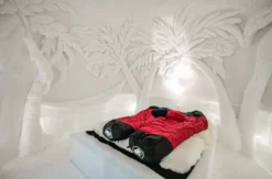 Übernachtung im Romantik-Iglu Gstaad für 2 (1 Nacht)