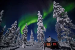 Übernachtung in der Glasdach-Hütte in Lappland für 2