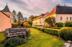 Übernachtung mit Rittermahl im Schloss Rosenburg für 2 (1 Nacht)