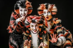 Best of Musicals Moers