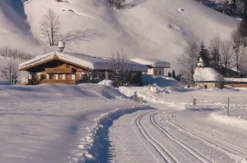 Biathlon Wochenende (1 Nacht)