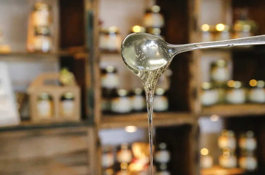 Bienenseminar mit Verkostung für 2 Bühl