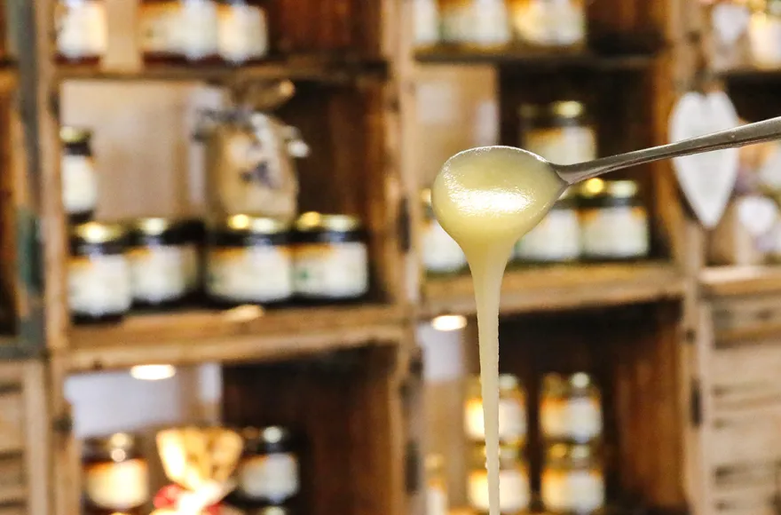Bienenseminar mit Verkostung für 2 Bühl