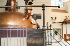 Bier Tasting Aschaffenburg (mit Stadtführung)