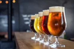Bier Tasting Hattersheim am Main