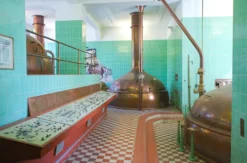Bier Tasting Kulmbach