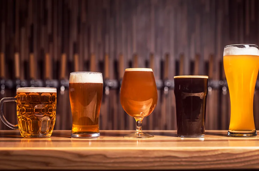 Bierverkostung online