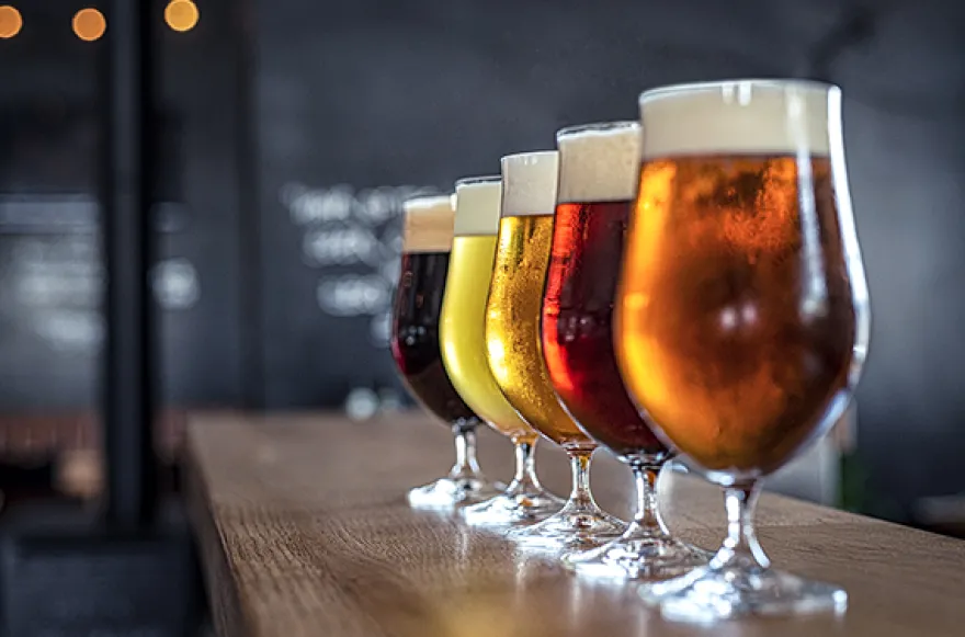 Bierverkostung Willingen (3 Std.)