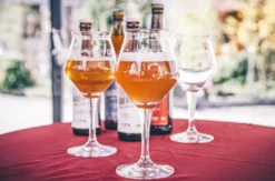 Bio-Bier Braukurs in München