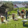 Blockhaus bauen Schnupperkurs