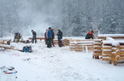 Blockhaus bauen Schnupperkurs