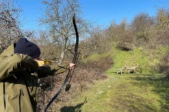 Bogenschießen Raum Bad Kreuznach