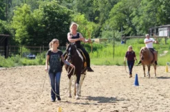 Bogenschießen vom Pferd Bockfließ