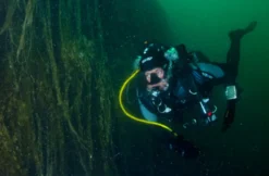 Bootstauchgang im Weißensee