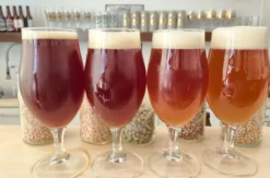 Brauereiführung mit Bierverkostung München