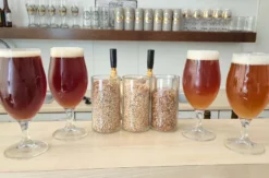 Brauereiführung mit Bierverkostung München