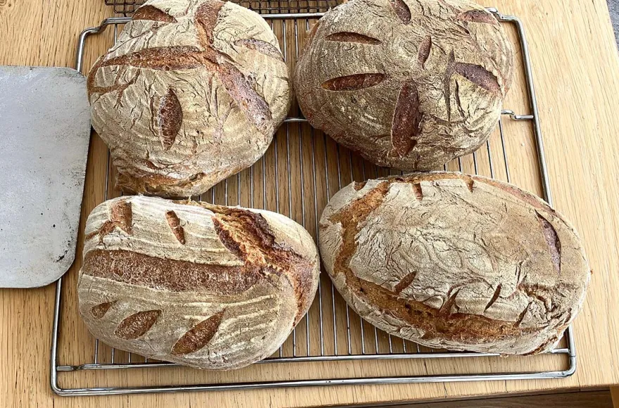 Brotbackkurs am Holzofen für 2 Tage Kulz
