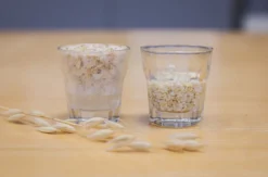 Brotbackkurs Dresden