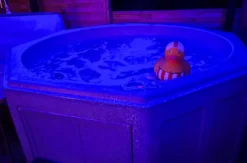 Bubble Hotel mit Apartment und Whirlpool Raum Gerolstein für 2