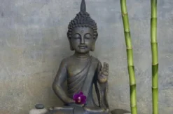 Buddhistische Meditation