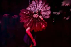 Burlesque Show Heidelberg