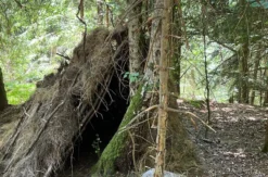 Bushcraft Camp Bad Peterstal-Griesbach