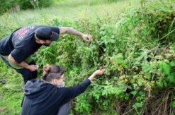 Bushcraft Kurs Raum Luckenwalde