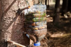 Bushcraft Kurs Raum Luckenwalde