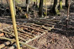 Bushcraft Kurs Raum Stuttgart