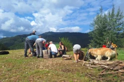 Bushcraft Tag Bad Peterstal-Griesbach
