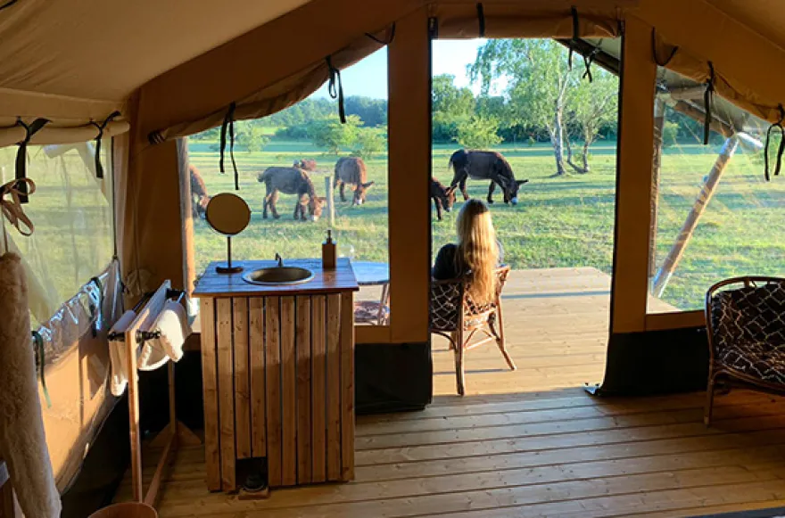 Camping im Tierpark Arche Warder für 2 (2 Nächte)