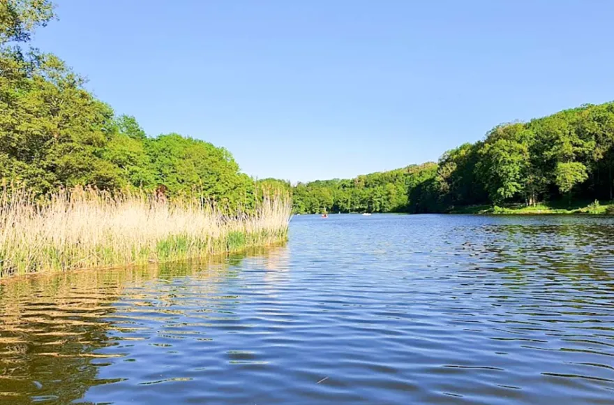Campingurlaub in der Westpfalz für 2 (1 Nacht)