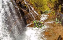 Canyoning Urlaub Haiming (1 Nacht)