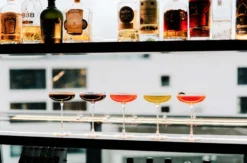 Cocktailkurs Master Mixology Heidelberg