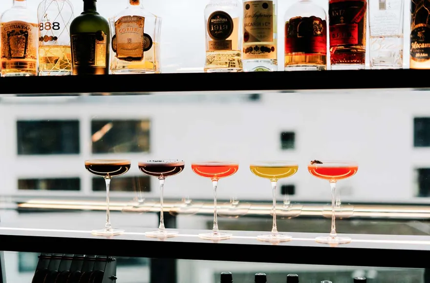 Cocktailkurs Master Mixology Heidelberg