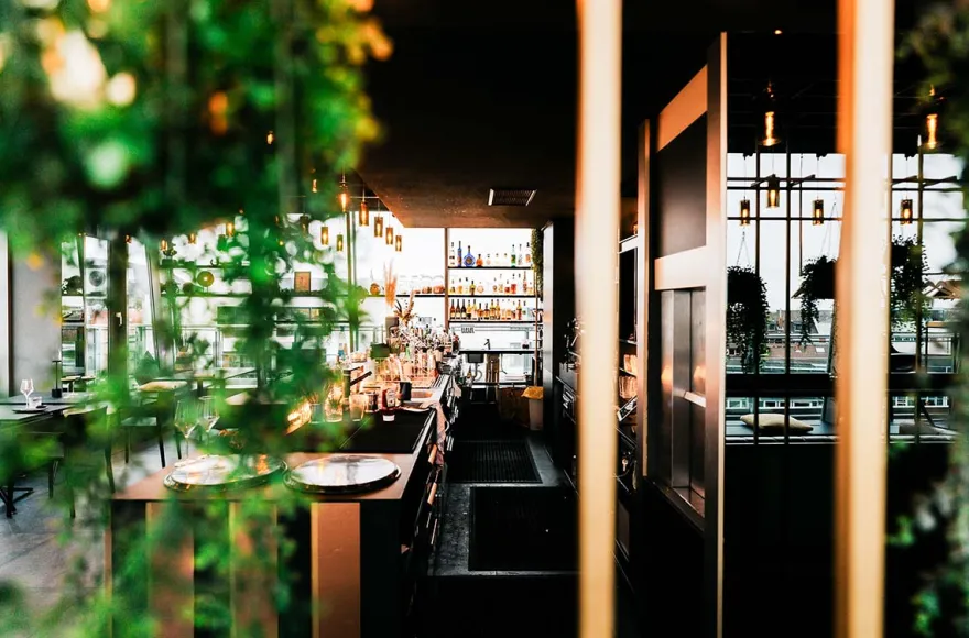 Cocktailkurs Master Mixology Heidelberg