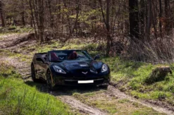 Corvette C7 Cabriolet mieten Gifhorn (Tagesfahrt)