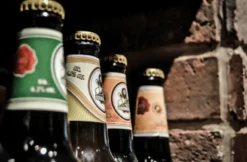 Craft Beer Seminar mit Brotzeit