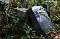 Digitale Stadtführung Zentralfriedhof Wien (2 Std.)