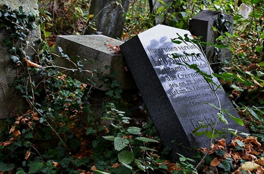 Digitale Stadtführung Zentralfriedhof Wien (2 Std.)