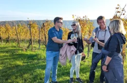 Digitale Weinwanderung
